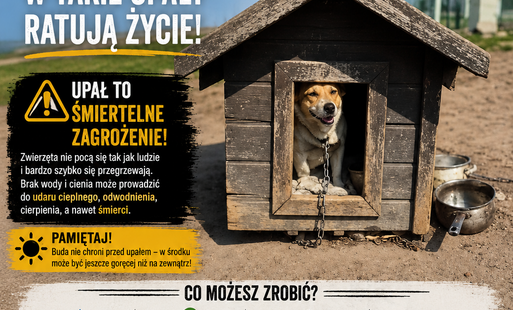 UPAŁ! Pamiętaj o swoich pupilach