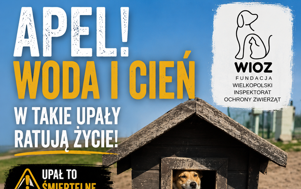 Zdjęcie artykułu z dnia 25-06-2026